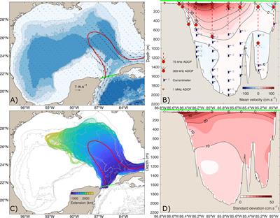 Predicting the Loop Current dynamics combining altimetry and deep flow measurements through the Yucatan Channel